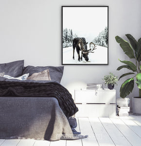 Black-framed Moose On a Snowy Country Road Photo Wall Decor