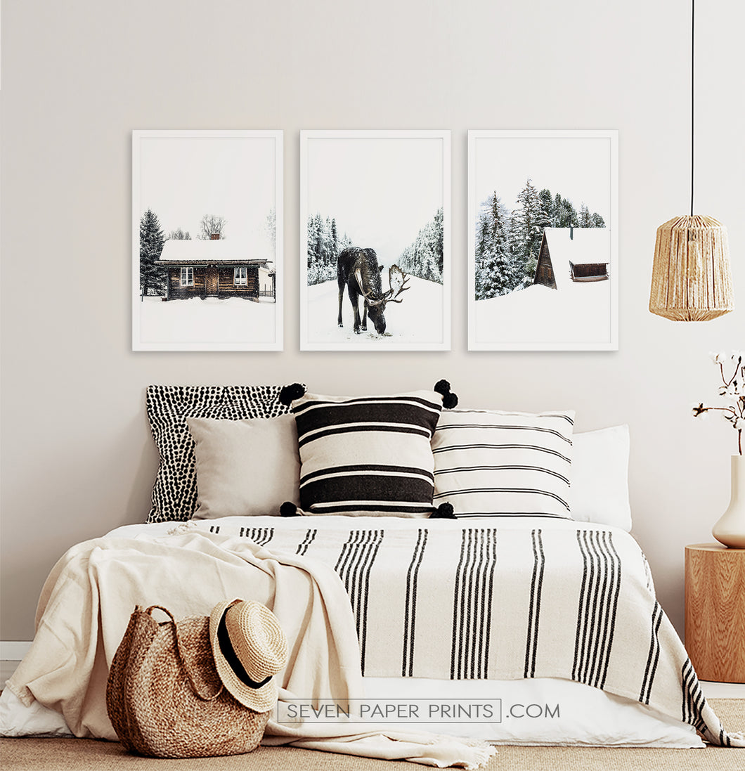 Three photo prints with winter landscapes posters1