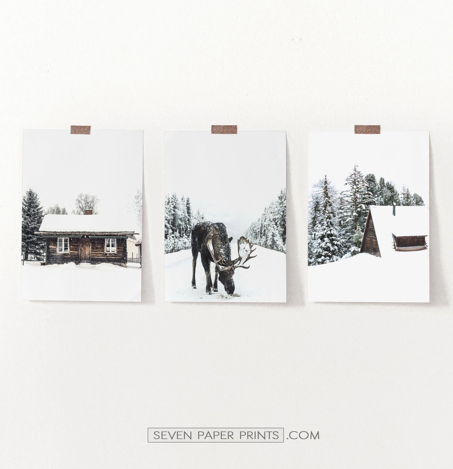 Moose Winter Forest Set of 3 Digital Prints
