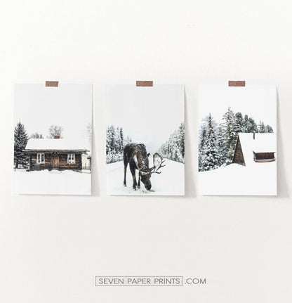 Moose Winter Forest Set of 3 Digital Prints