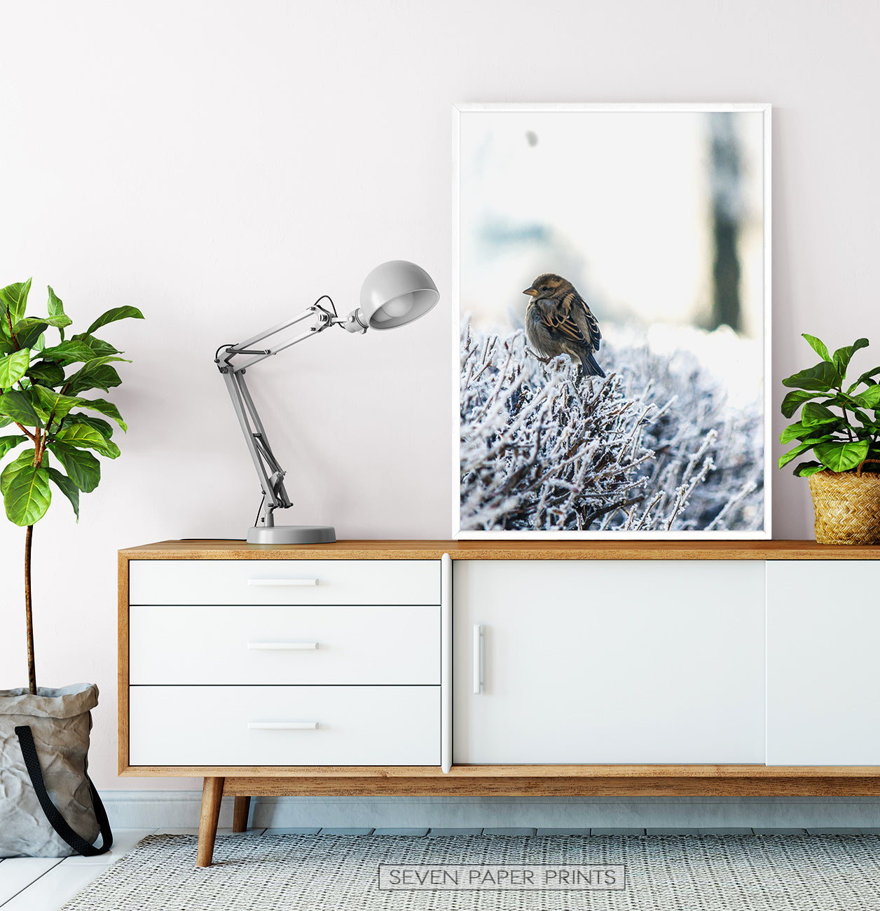 White-framed Sparrow On Snow-Covered Branches Photo Wall Art