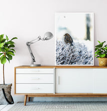 Load image into Gallery viewer, White-framed Sparrow On Snow-Covered Branches Photo Wall Art
