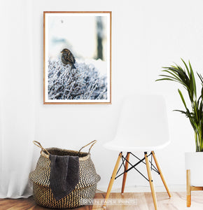 Wood-framed Sparrow On Snow-Covered Branches Photo Wall Art