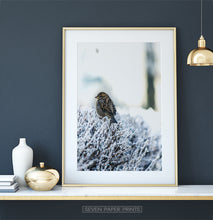 Load image into Gallery viewer, Gold-framed Sparrow On Snow-Covered Branches Photo Wall Art
