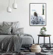 Load image into Gallery viewer, Black-framed Sparrow On Snow-Covered Branches Photo Wall Art
