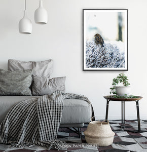Black-framed Sparrow On Snow-Covered Branches Photo Wall Art