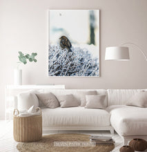 Load image into Gallery viewer, White-framed Sparrow On Snow-Covered Branches Photo Wall Art
