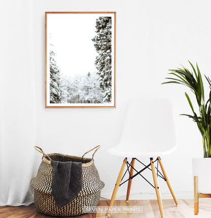 Wood-framed Covered In Snow Forest Clearing Wall Art