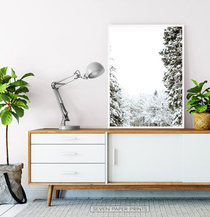 White-framed Covered In Snow Forest Clearing Wall Art