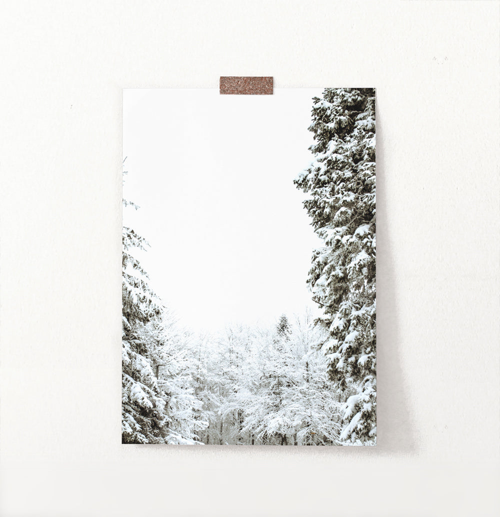 Covered In Snow Forest Clearing Wall Art