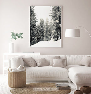 White-framed Snowdrift In A Winter Forest Photo Print