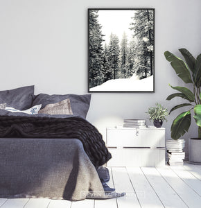 Black-framed Snowdrift In A Winter Forest Photo Print