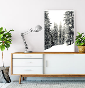 White-framed Snowdrift In A Winter Forest Photo Print