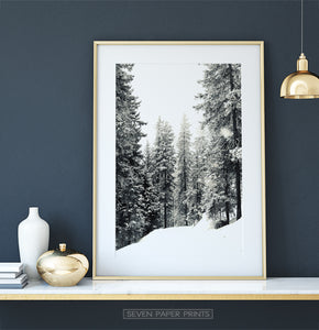 Gold-framed Snowdrift In A Winter Forest Photo Print