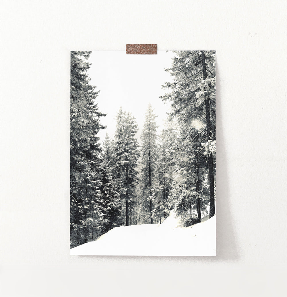Snowdrift In A Winter Forest Photo Print