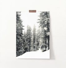 Load image into Gallery viewer, Winter Woods With Showy Spruces Photo Print
