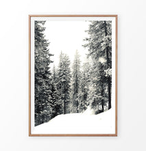 Load image into Gallery viewer, Wood-framed Snowdrift In A Winter Forest Photo Print
