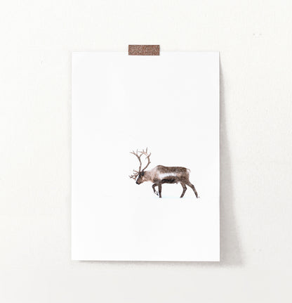 Deer Walking Through White Nowhere Photo Print