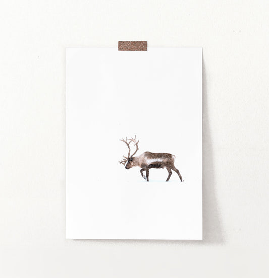 Deer Walking Through White Nowhere Photo Print