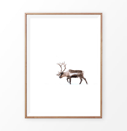 Deer Walking Through White Nowhere Photo Print