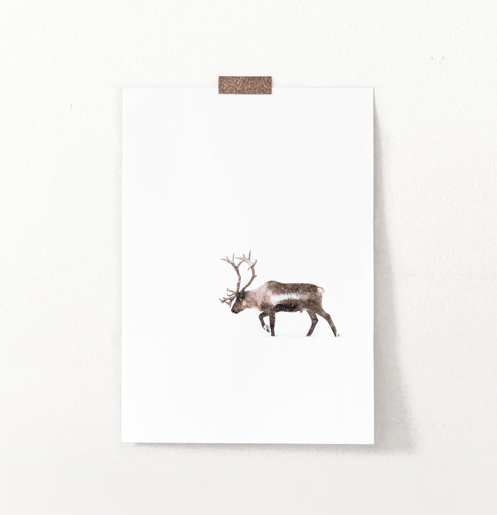 Deer Walking Through White Nowhere Photo Print