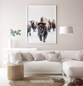 White-framed European Bison Herd Running In Snow Poster