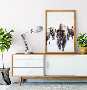 Wooden-framed European Bison Herd Running In Snow Poster