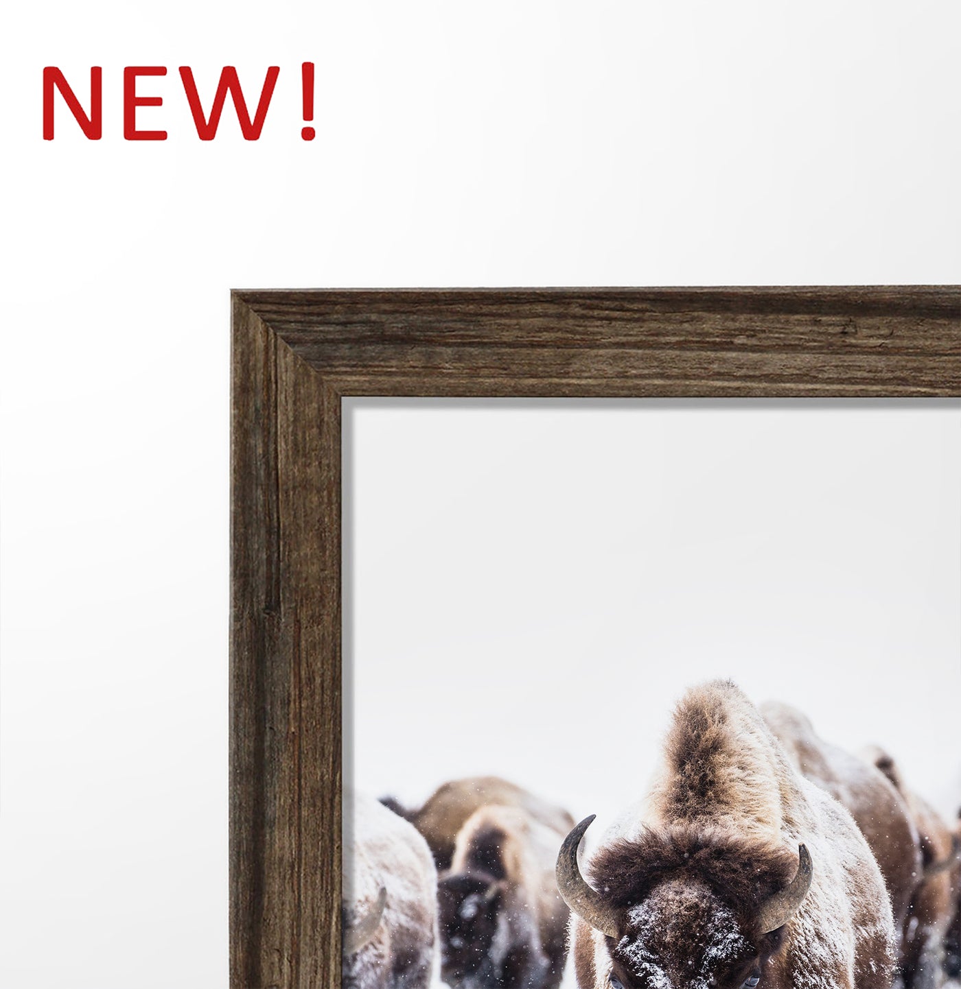 Set of 6 Framed Winter Prints with Animals and Snowy Nature