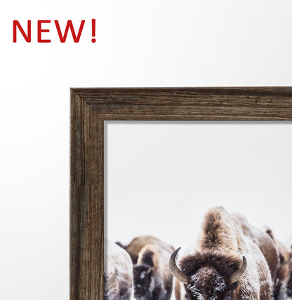 Set of 6 Framed Winter Prints with Animals and Snowy Nature