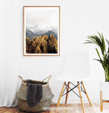 Wooden-framed In A White Room