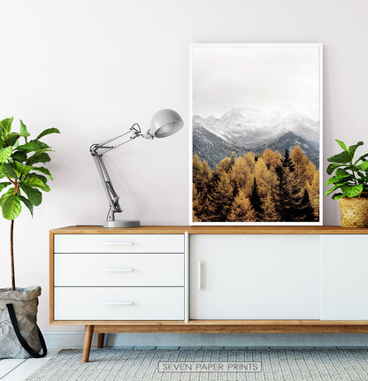 White-framed on a wooden cabinet