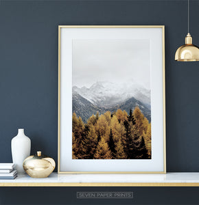 Gold Spruce Forest On Foggy Mountains Background Poster