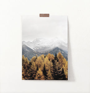 Yellow&Brown Spruce Forest On Foggy Mountains Background Poster