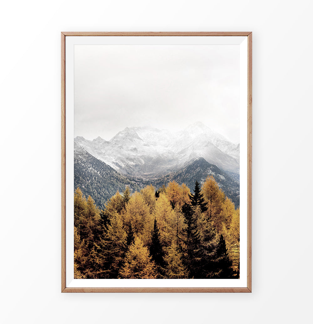 Wooden-framed photo print