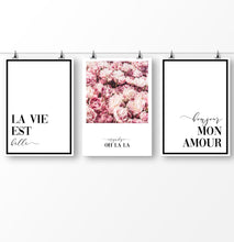 Load image into Gallery viewer, Pink Flower wall art, floral wall art, digital typography, set of 3 digital prints
