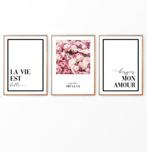 Load image into Gallery viewer, Bonjour Floral Set of 3 Prints in French Style
