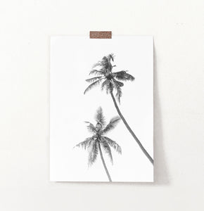 Black and White Palm Trees Wall Art Print
