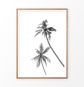 Black White Palm Print