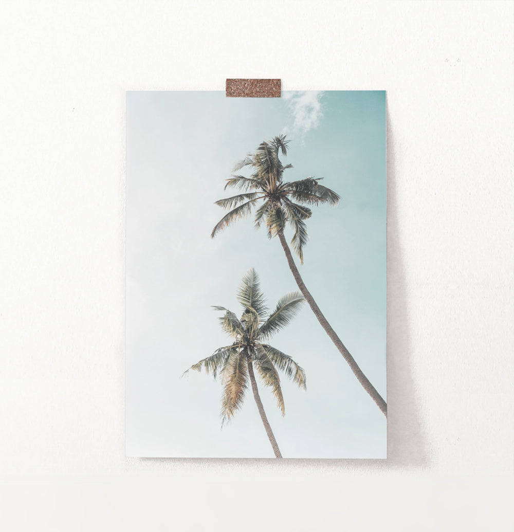 Coastal Palm Trees Summer Beach Wall Art