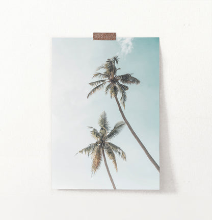 Coastal Palm Trees Summer Beach Wall Art