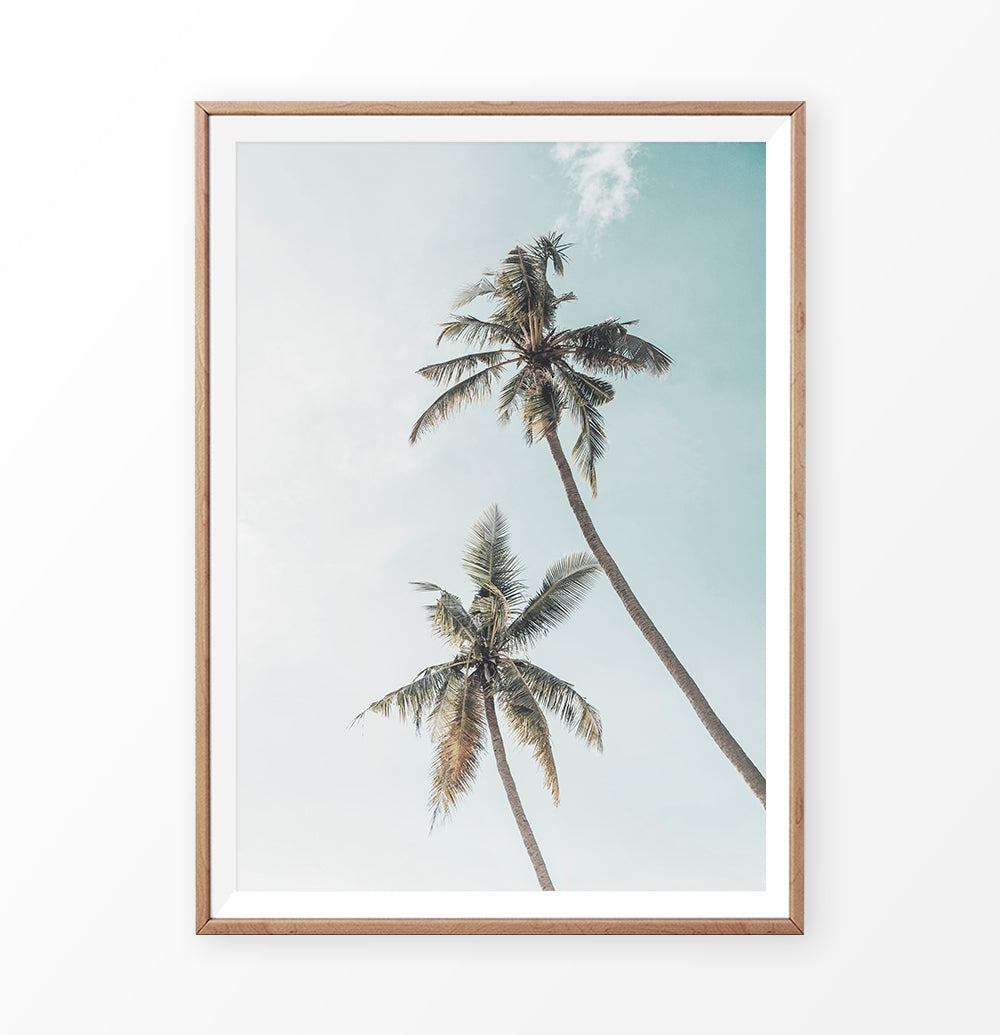Palm Tree Photo Tropical Beach Art | Digital Palm Tree – Seven