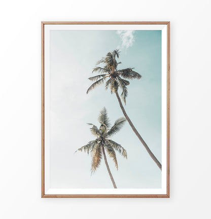 California Palms Tropical Wall Art Print