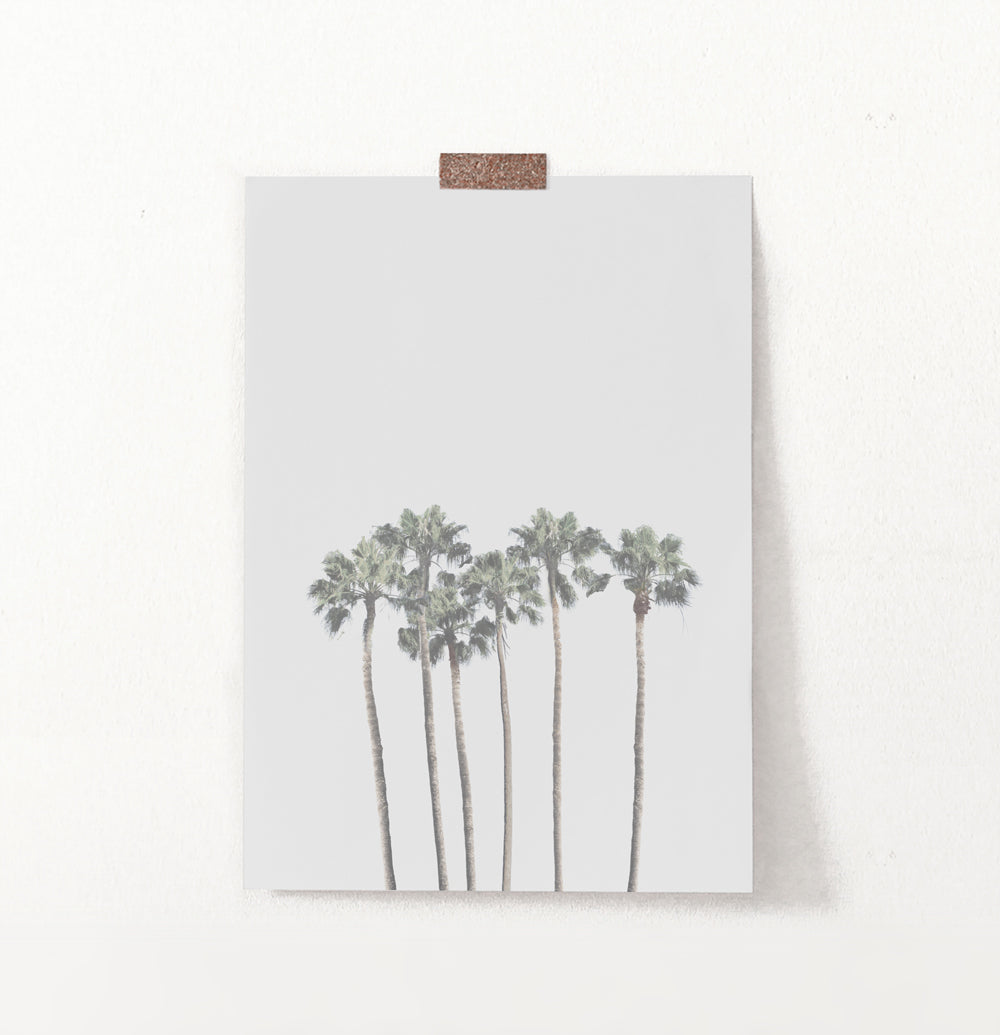 Gray Palm Trees Minimalist Wall Art