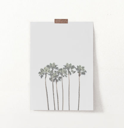 Gray Palm Trees Minimalist Wall Art
