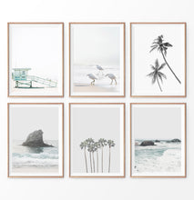 Load image into Gallery viewer, Gray Coastal Print Set. Beach, Palms, Ocean Rock, Waves, Birds
