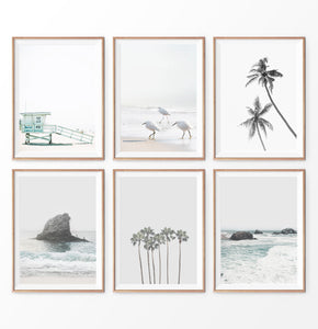 Tropcal Beach Prnt - Serene Palm Tree Wall Art for a Relaxng Beach Tropcal Beach Prnt - Serene Palm Tree Wall Art for a Relaxng Beach