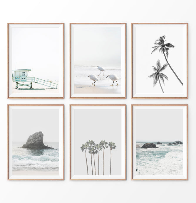 Gray Coastal Print Set. Beach, Palms, Ocean Rock, Waves, Birds