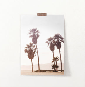 California Palm Trees on Seaside Wall Art