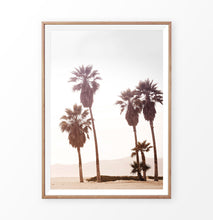 Load image into Gallery viewer, Palm Trees, sun, sand, beach, coastal
