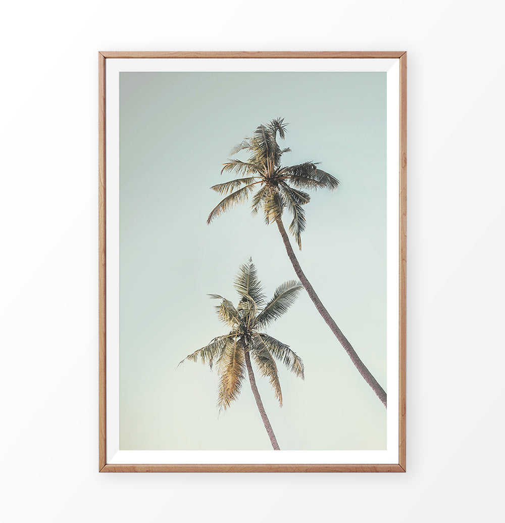 Palm Tree Poster. Turquoise sky, golden leaves